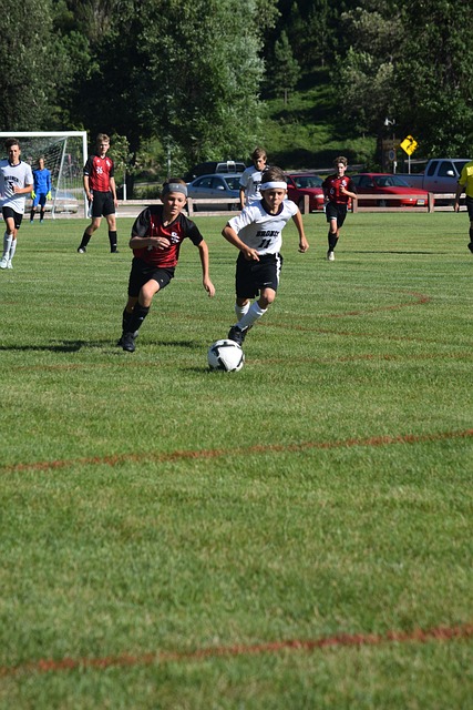 以其精湛的 以其精湛的