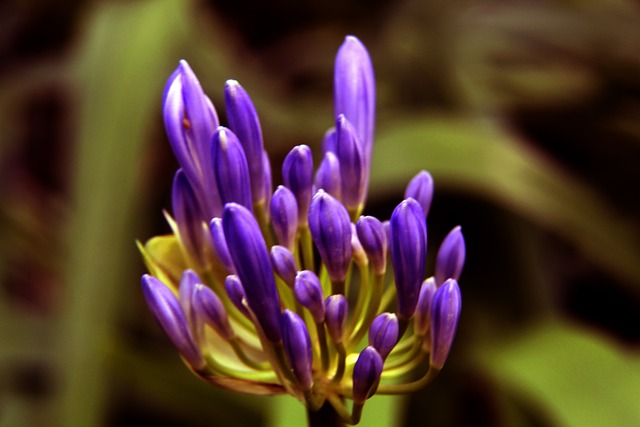 她在心理和 她在心理和