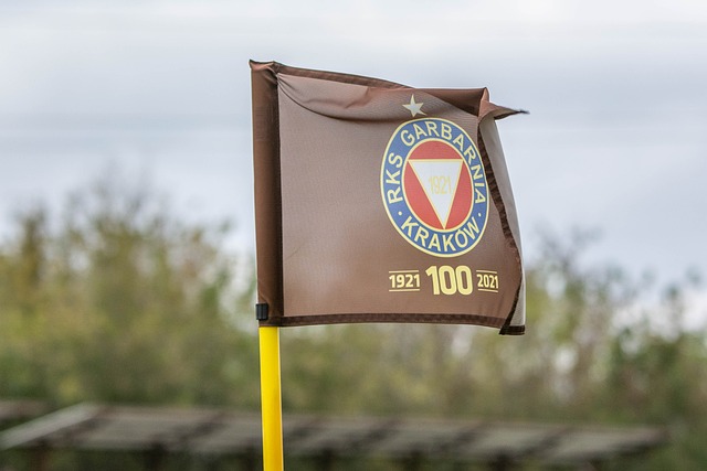 拜仁的团队 拜仁的团队