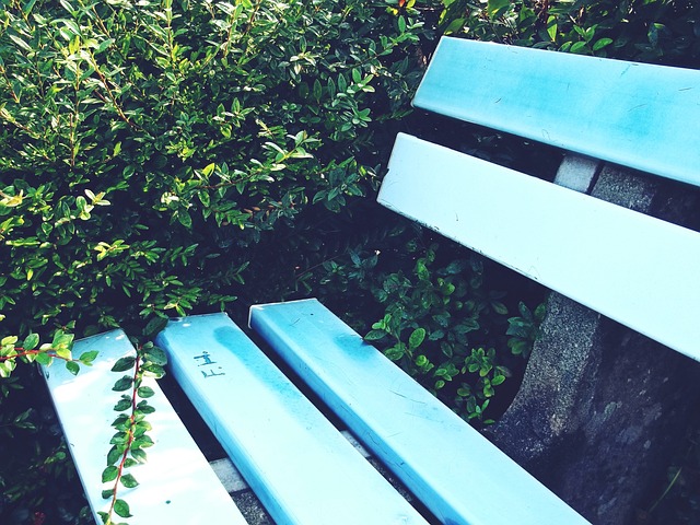 说明了在高 说明了在高