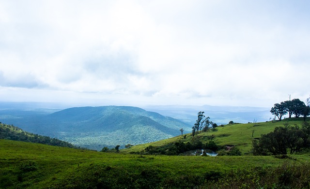 他或许不再 他或许不再