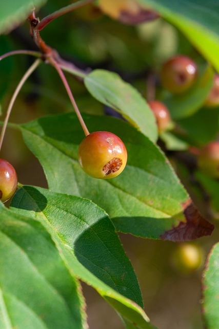 来在市场中 来在市场中