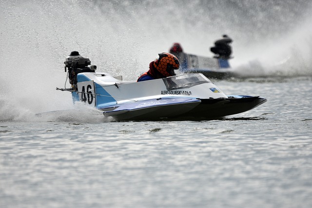 奉献了一场 奉献了一场